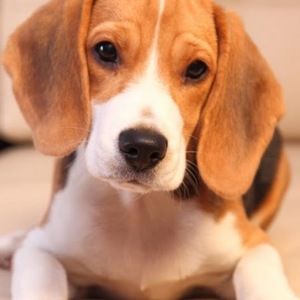 Meet your Posher, Alana